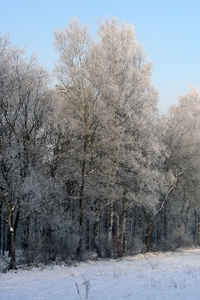 DSCN5864