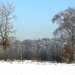 DSCN5904