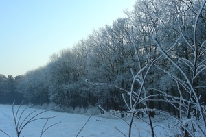 DSCN5911