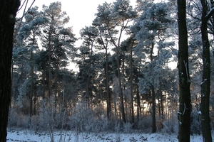DSCN5927