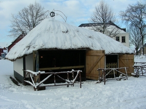 DSCN5816