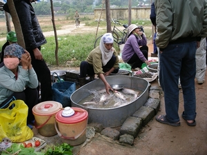 Hai Duong, op weg naar Hallong lokale markt