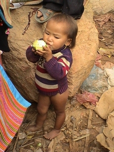 oord Vietnam  provincie Lao Cai , Op weg naar de Cocly