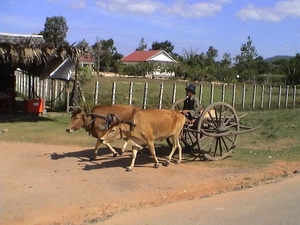 Zuid Vietnam   Can Tho plaatselijke bevolking