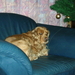 DSCN0012