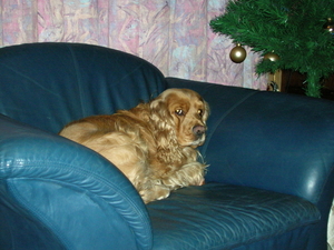 DSCN0012