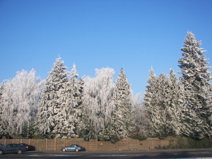 winter 2009 039