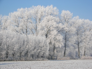 winter 2009 056