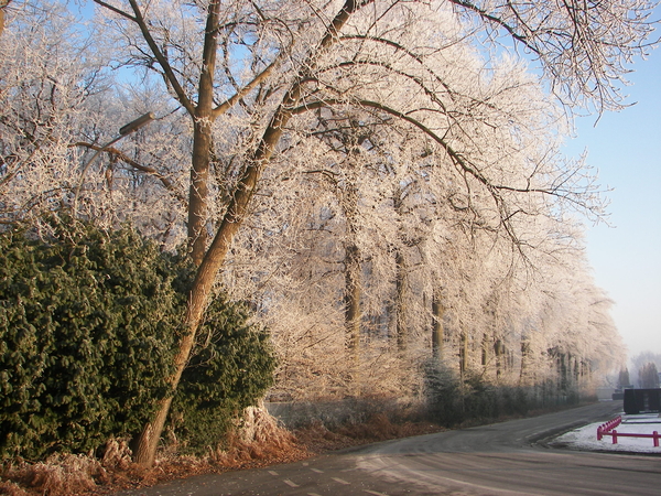 winter 2009 004