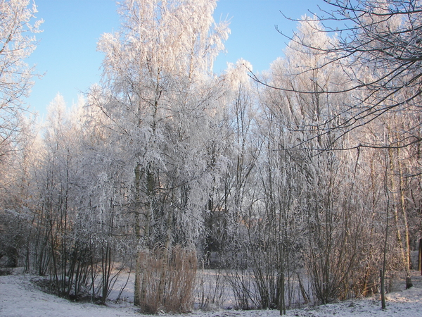 winter 2009 009
