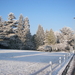 winter 2009 035
