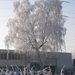 winter 2009 044
