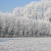 winter 2009 054