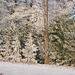 winter 2009 003