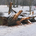 winter 2009 012