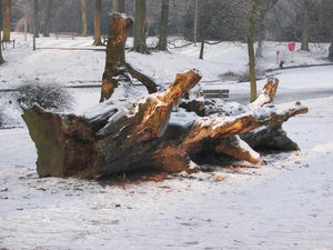 winter 2009 012