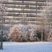 winter 2009 011