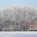 winter 2009 023