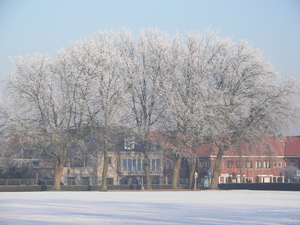 winter 2009 023