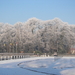 winter 2009 022