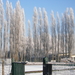 winter 2009 069