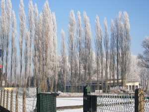 winter 2009 069