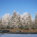 winter 2009 040