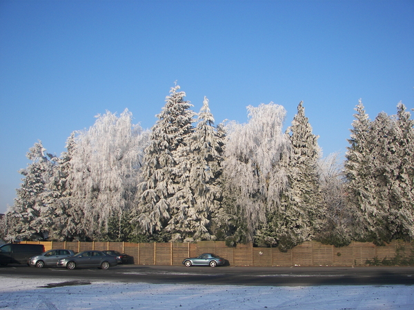 winter 2009 040