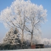 winter 2009 046