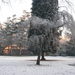 winter 2009 013