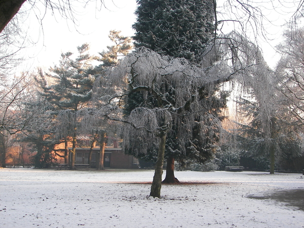 winter 2009 013