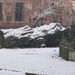 winter 2009 018