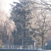 winter 2009 024