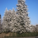 winter 2009 037