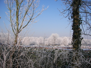 winter 2009 053