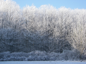 winter 2009 067