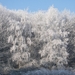 winter 2009 066