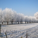 winter 2009 058