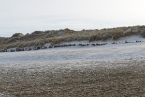 P1000016