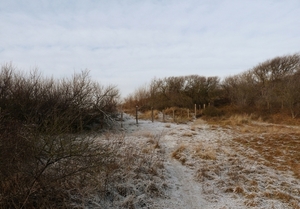 P1000021