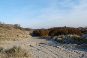 P1000026