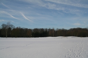 Sneeuw 021