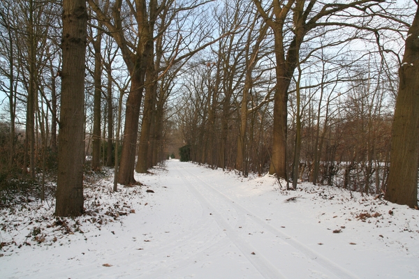 Sneeuw 042