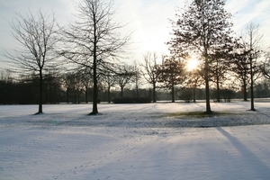 Sneeuw 062