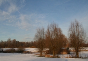 Sneeuw 071