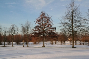 Sneeuw 072