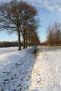 Sneeuw 073