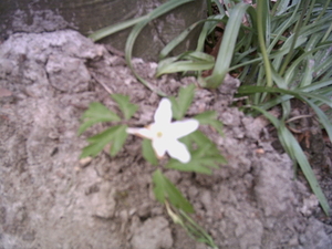 PICT0013