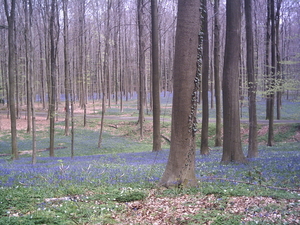 PICT0019