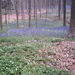 PICT0020